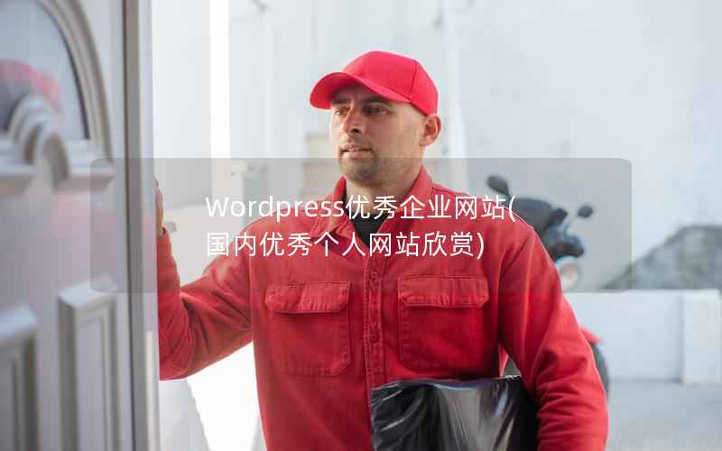 Wordpress优秀企业网站(国内优秀个人网站欣赏)