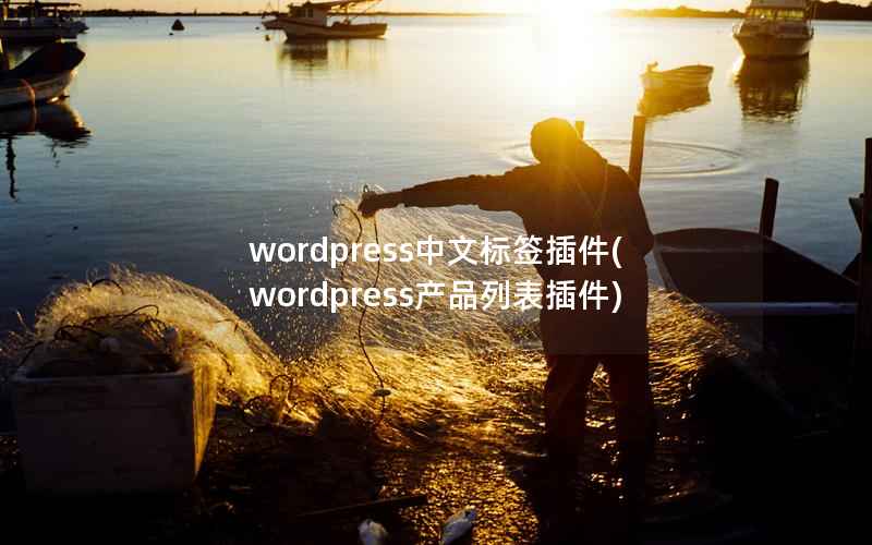 wordpress中文标签插件(wordpress产品列表插件)