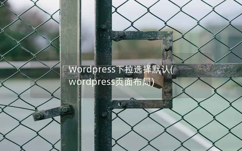 Wordpress下拉选择默认(wordpress页面布局)