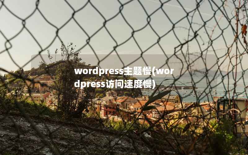 wordpress主题慢(wordpress访问速度慢)