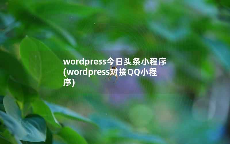 wordpress今日头条小程序(wordpress对接QQ小程序)