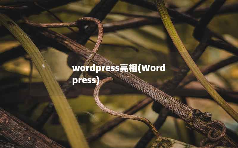 wordpress亮相(Wordpress)