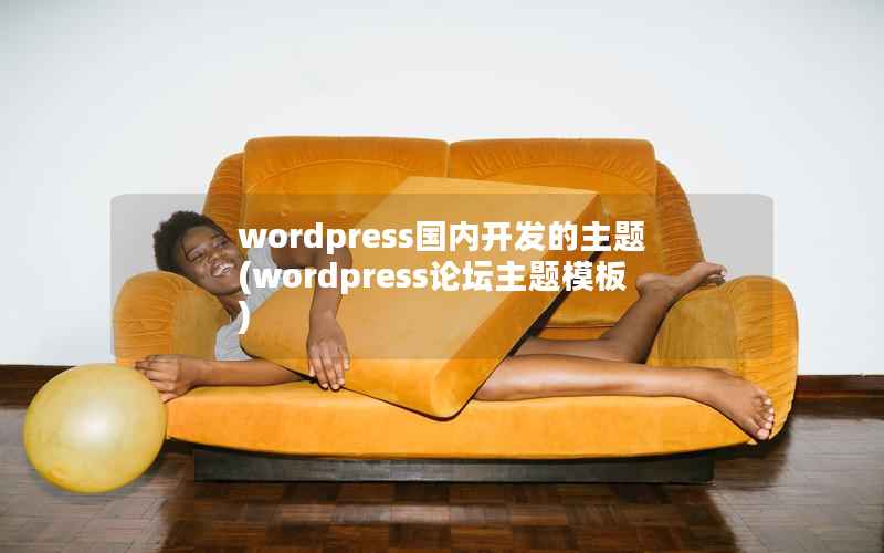 wordpress国内开发的主题(wordpress论坛主题模板)