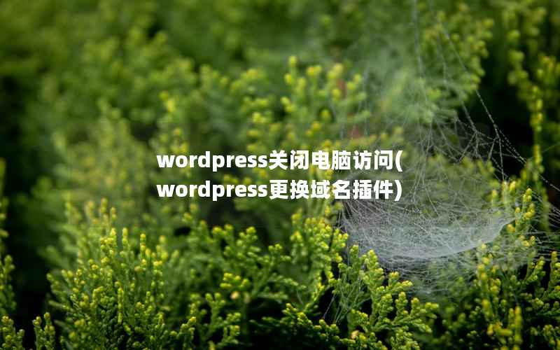 wordpress关闭电脑访问(wordpress更换域名插件)