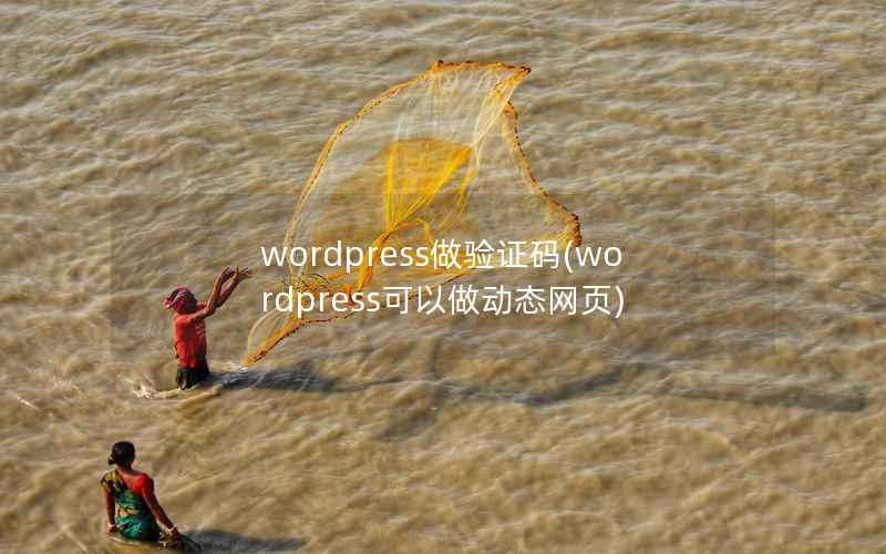 wordpress做验证码(wordpress可以做动态网页)