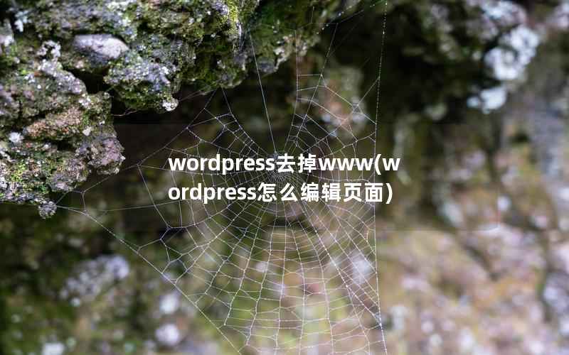 wordpress去掉www(wordpress怎么编辑页面)