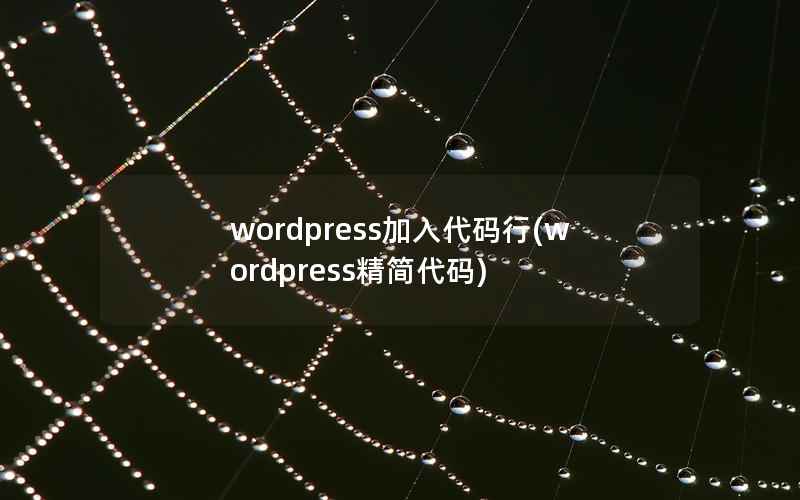 wordpress加入代码行(wordpress精简代码)