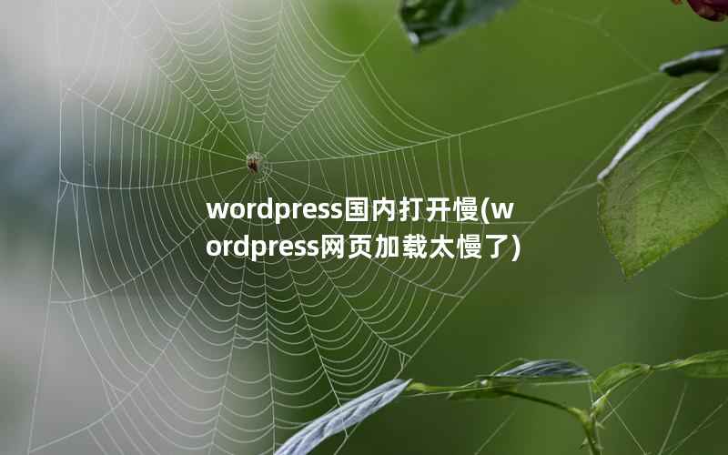 wordpress国内打开慢(wordpress网页加载太慢了)