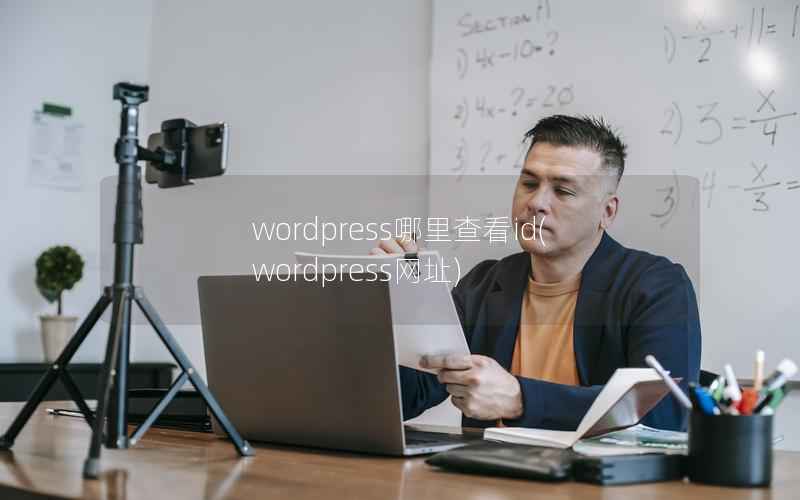 wordpress哪里查看id(wordpress网址)