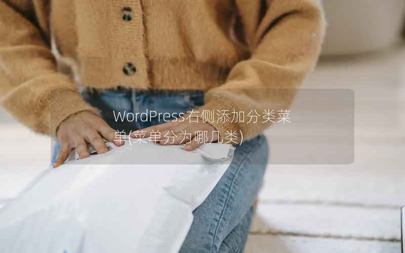 WordPress右侧添加分类菜单(菜单分为哪几类)