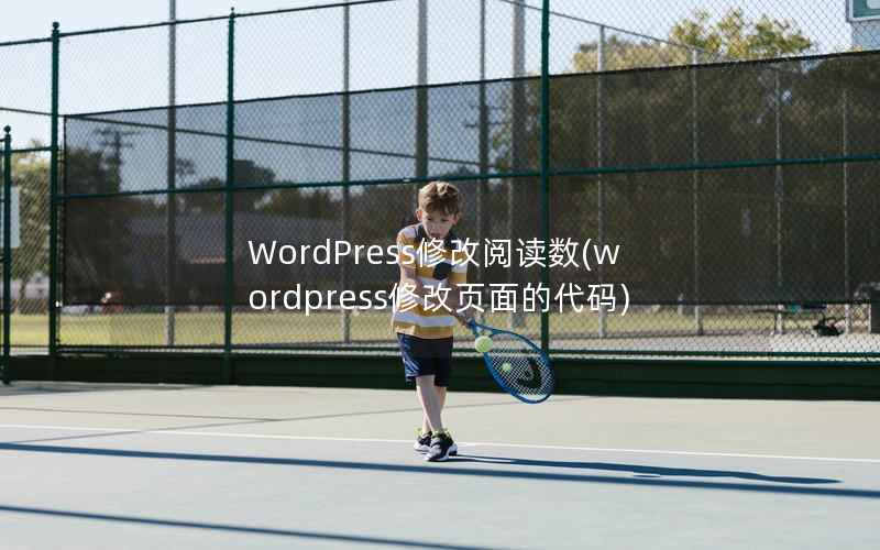 WordPress修改阅读数(wordpress修改页面的代码)