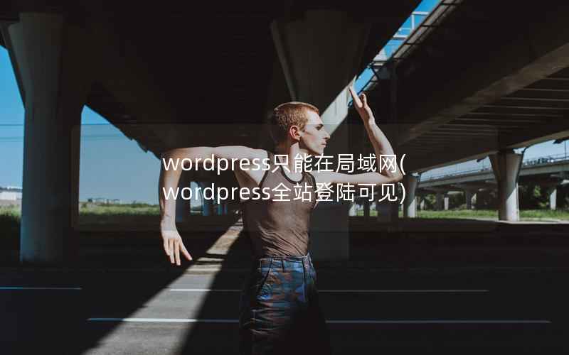 wordpress只能在局域网(wordpress全站登陆可见)