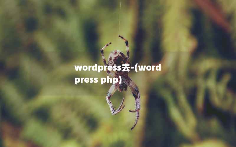 wordpress去-(wordpress php)