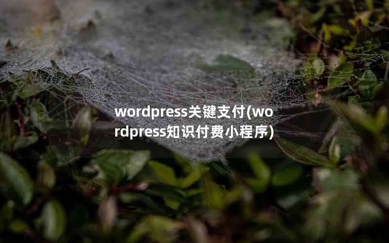 wordpress关键支付(wordpress知识付费小程序)