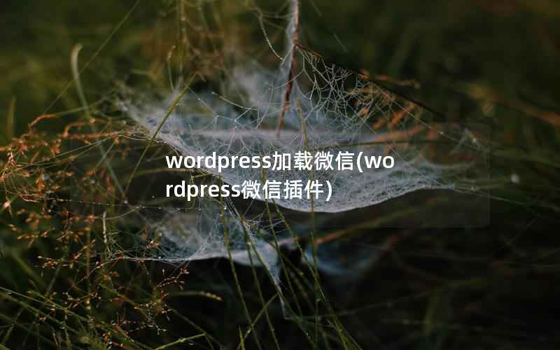 wordpress加载微信(wordpress微信插件)