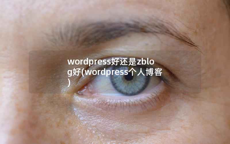 wordpress好还是zblog好(wordpress个人博客)