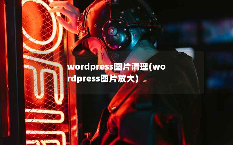 wordpress图片清理(wordpress图片放大)