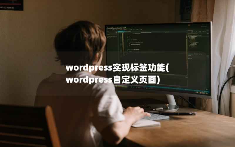 wordpress实现标签功能(wordpress自定义页面)