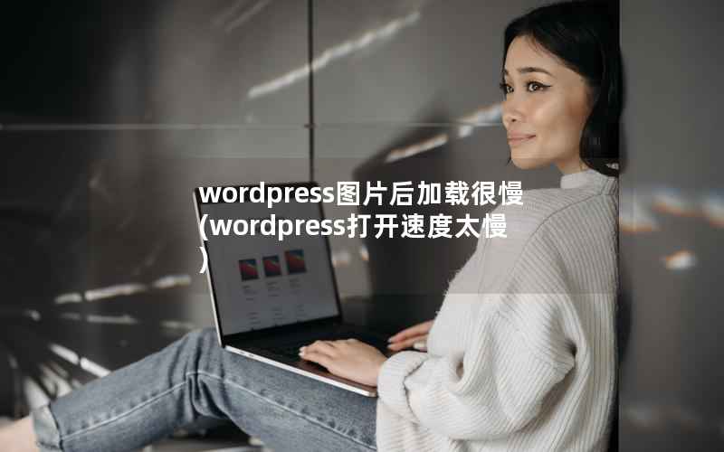 wordpress图片后加载很慢(wordpress打开速度太慢)