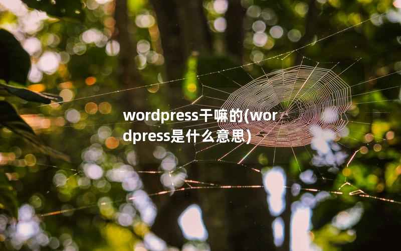 wordpress干嘛的(wordpress是什么意思)