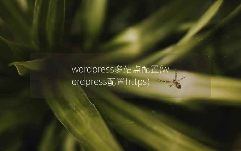 wordpress多站点配置(wordpress配置https)