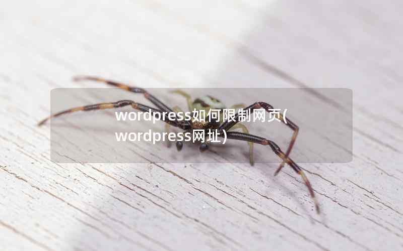 wordpress如何限制网页(wordpress网址)