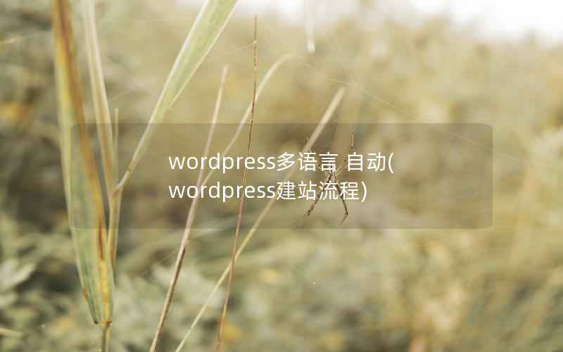 wordpress多语言 自动(wordpress建站流程)