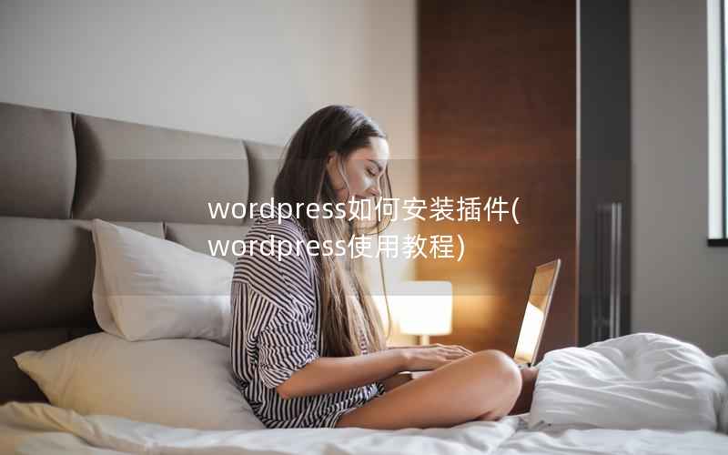 wordpress如何安装插件(wordpress使用教程)