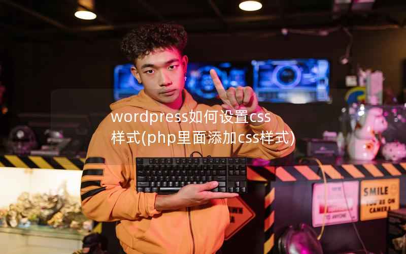 wordpress如何设置css样式(php里面添加css样式)