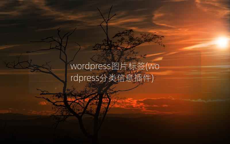 wordpress图片标签(wordpress分类信息插件)