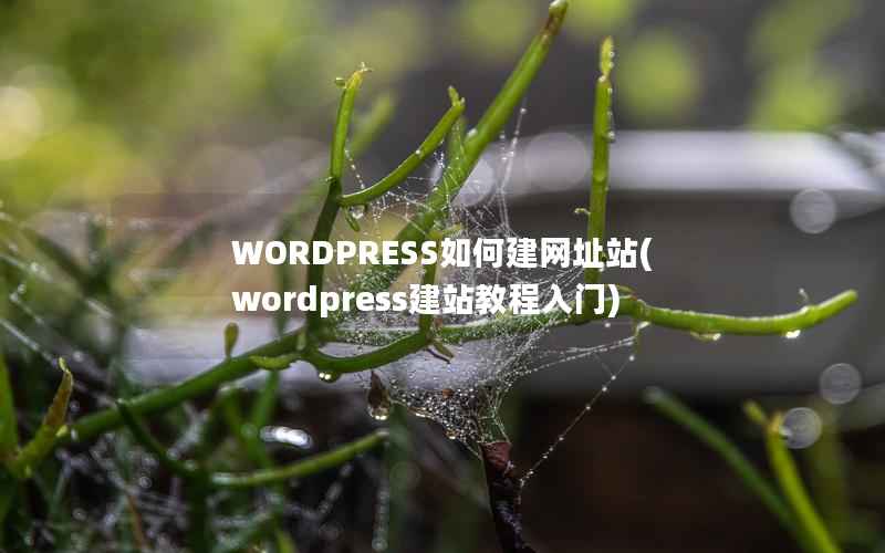 WORDPRESS如何建网址站(wordpress建站教程入门)