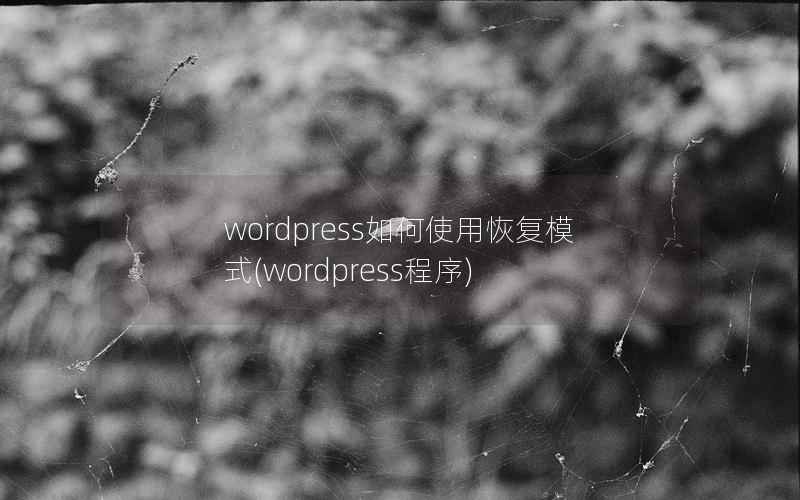 wordpress如何使用恢复模式(wordpress程序)