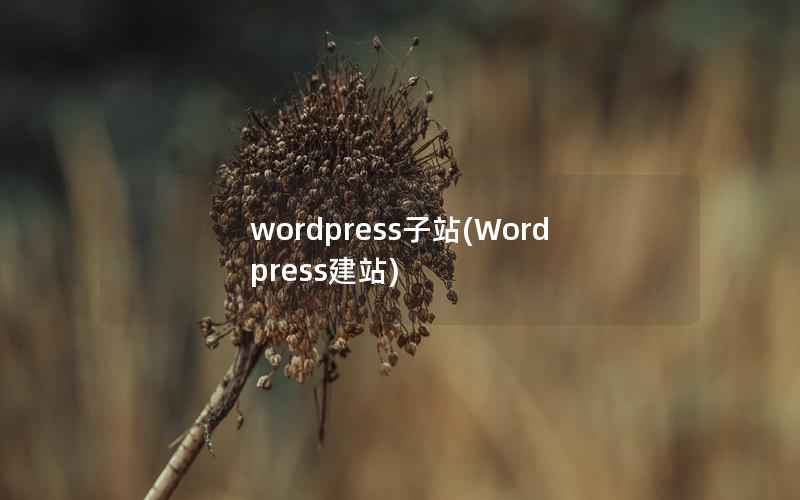 wordpress子站(Wordpress建站)