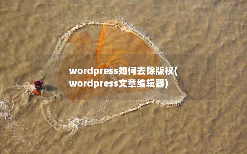 wordpress如何去除版权(wordpress文章编辑器)