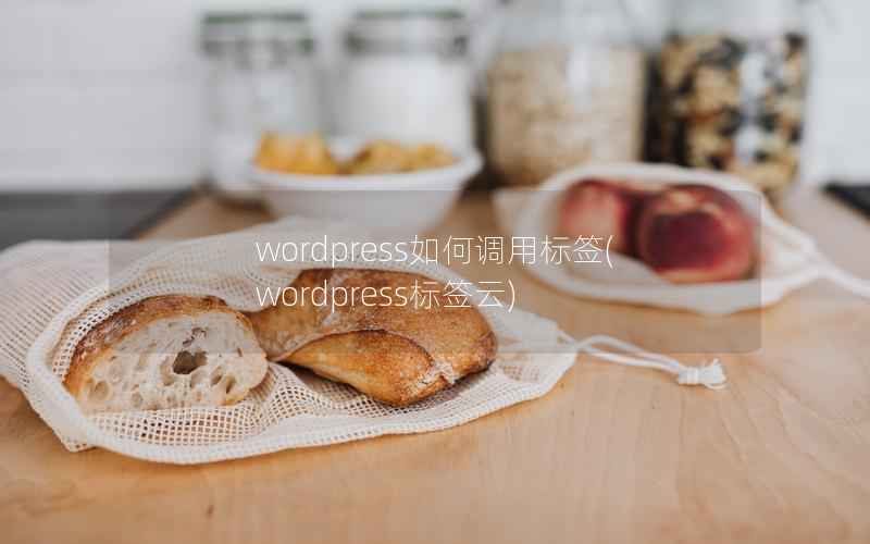 wordpress如何调用标签(wordpress标签云)