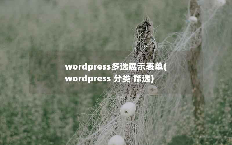 wordpress多选展示表单(wordpress 分类 筛选)