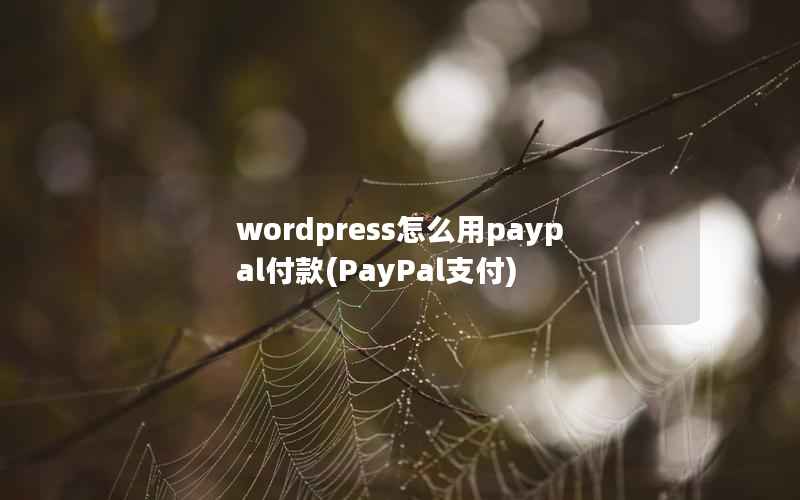 wordpress怎么用paypal付款(PayPal支付)