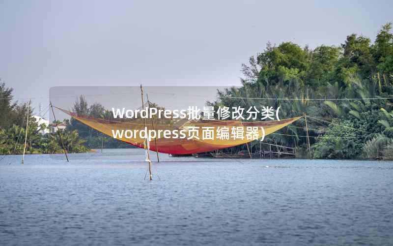 WordPress批量修改分类(wordpress页面编辑器)