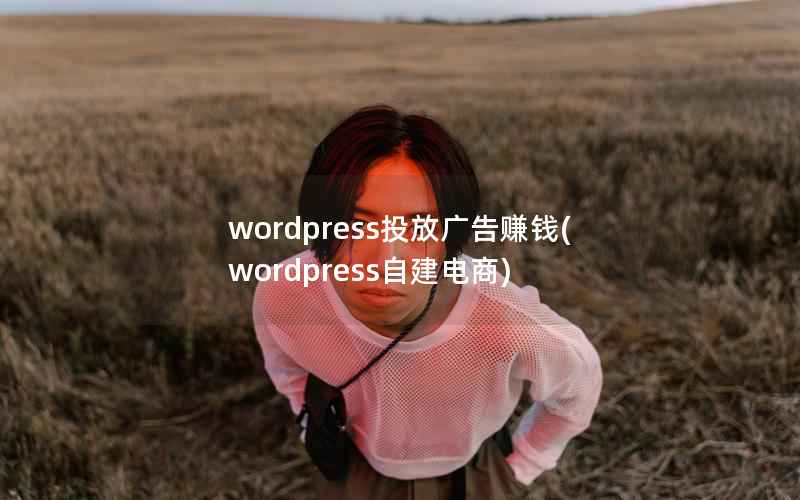 wordpress投放广告赚钱(wordpress自建电商)