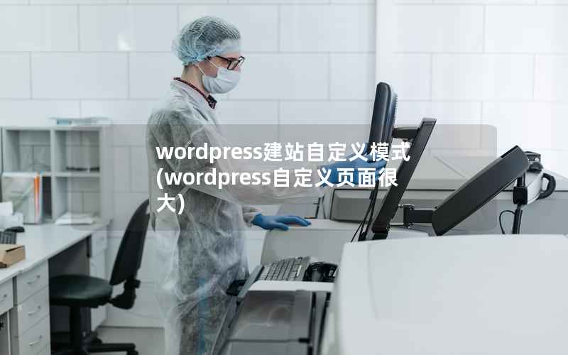 wordpress建站自定义模式(wordpress自定义页面很大)