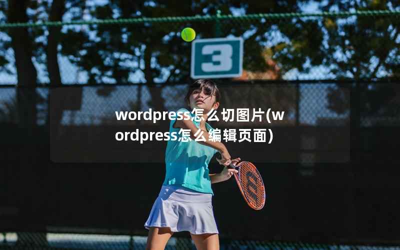 wordpress怎么切图片(wordpress怎么编辑页面)