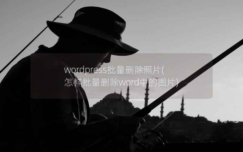 wordpress批量删除照片(怎样批量删除word中的图片)