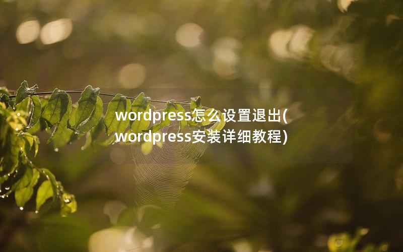 wordpress怎么设置退出(wordpress安装详细教程)