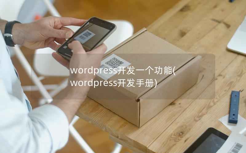 wordpress开发一个功能(wordpress开发手册)