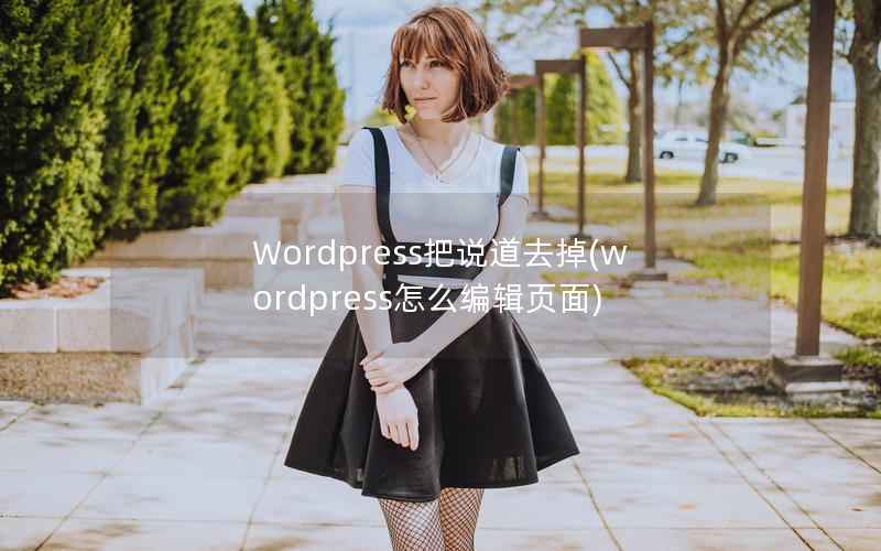 Wordpress把说道去掉(wordpress怎么编辑页面)