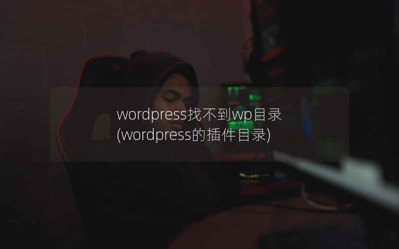 wordpress找不到wp目录(wordpress的插件目录)