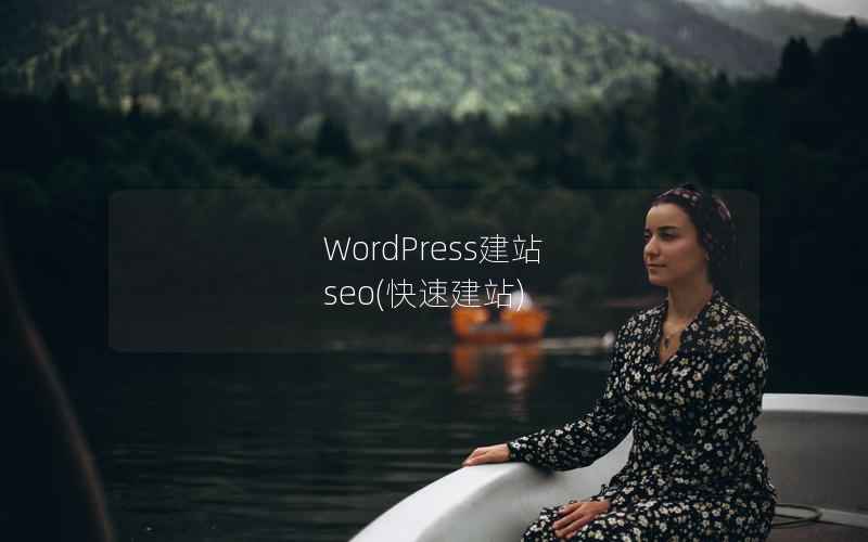 WordPress建站 seo(快速建站)