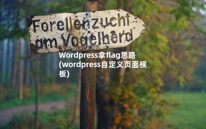 Wordpress拿flag思路(wordpress自定义页面模板)