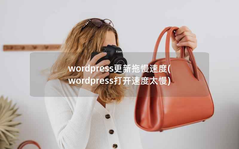 wordpress更新拖慢速度(wordpress打开速度太慢)