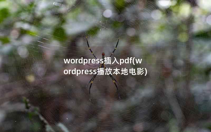 wordpress插入pdf(wordpress播放本地电影)